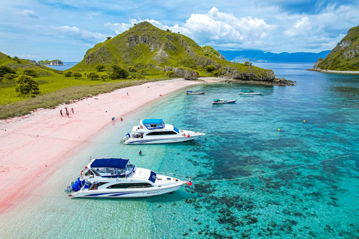 pink beach, taman nasional komodo 