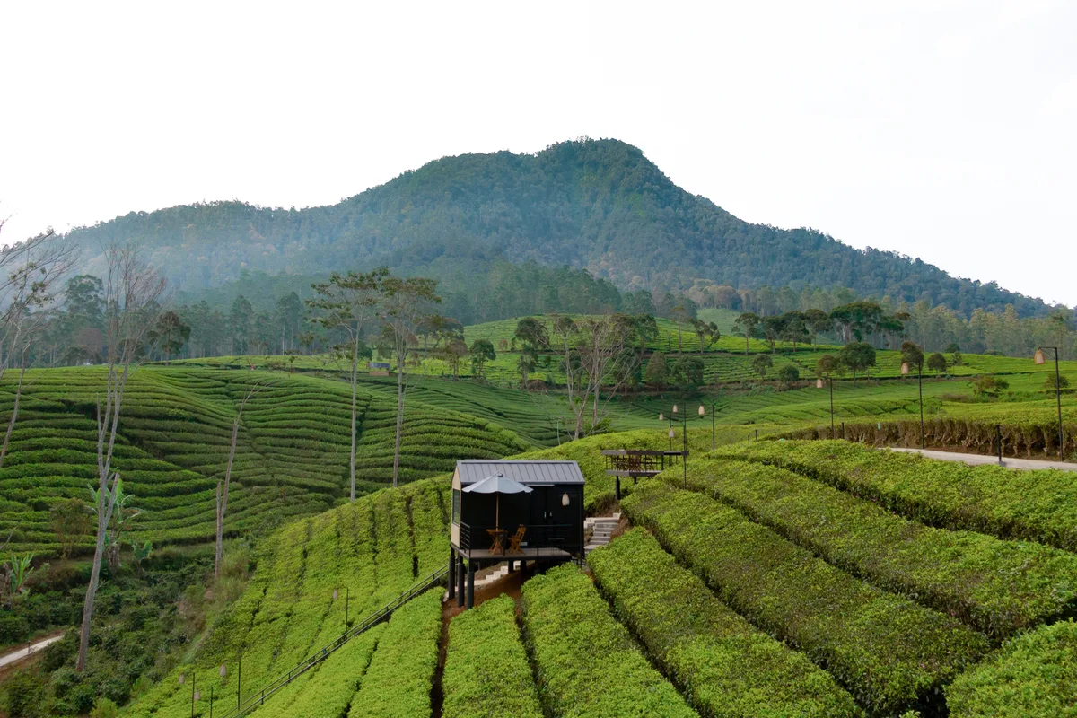 Bobocabin Pangalengan view