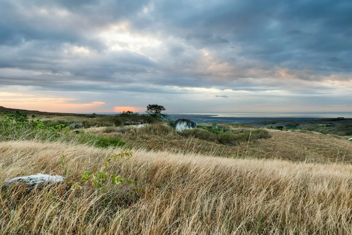 desa wisata sumba