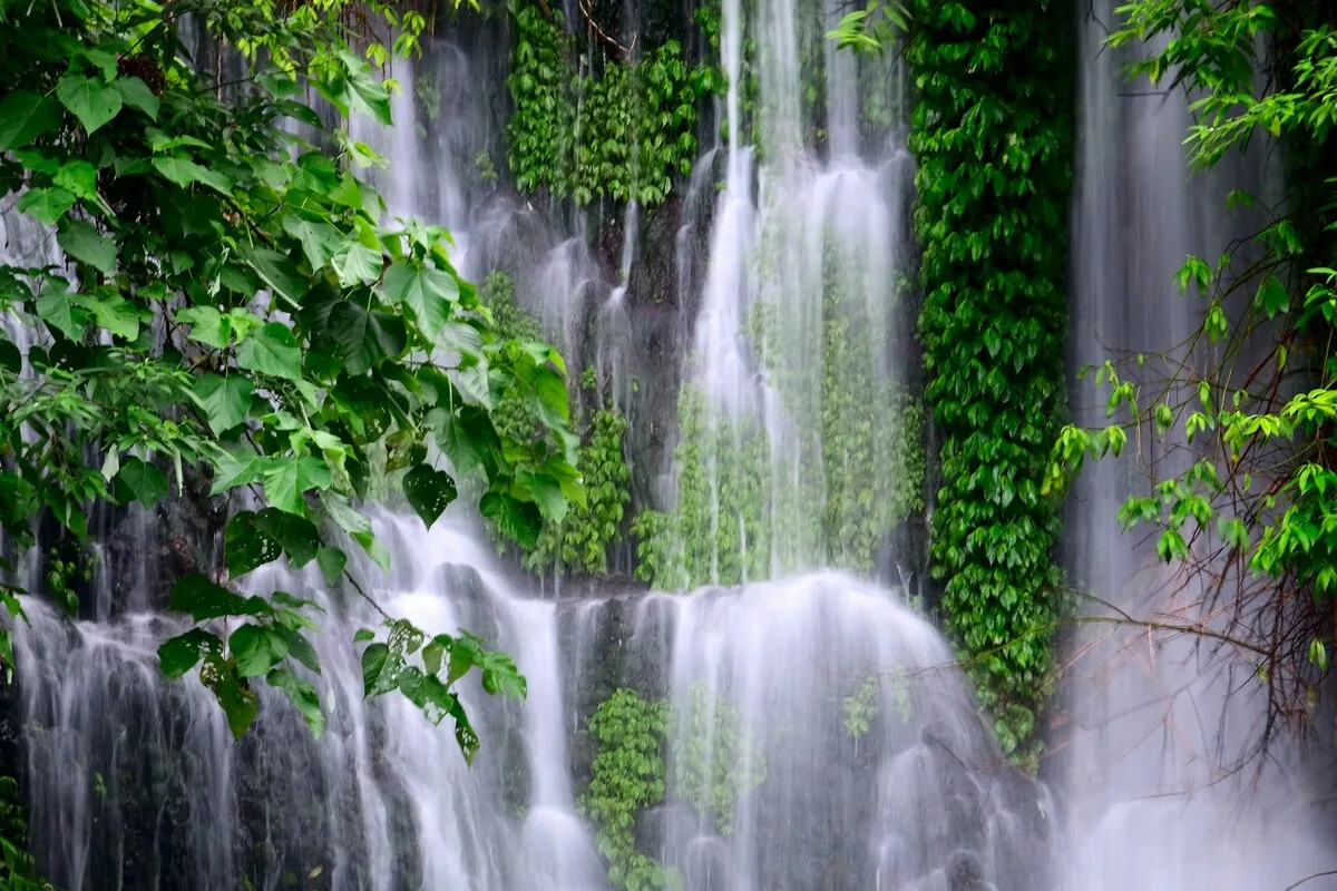 air terjun jagir banyuwangi