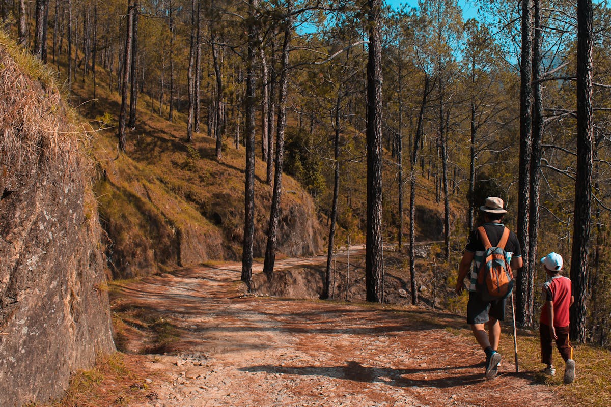 hiking, mendaki, puncak basundara (2)