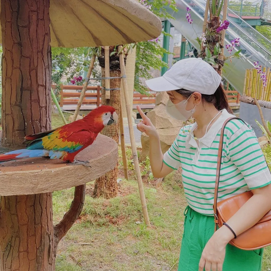 Jakarta Bird Land, tempat liburan di ancol