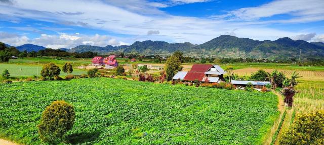 Kampung Wisata Modoinding