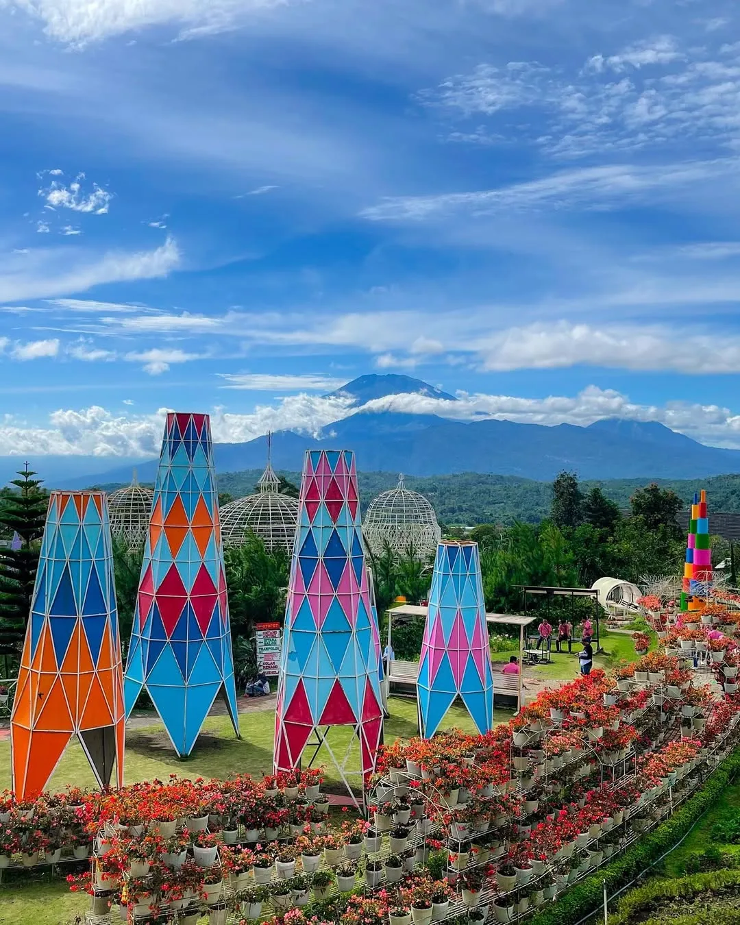 Taman Bunga Celosia