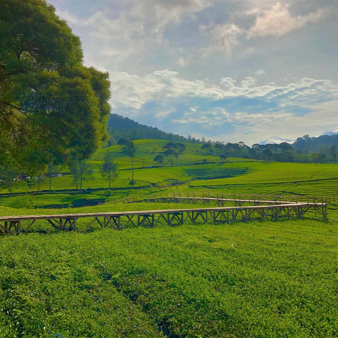 nuansa riung gunung, 24 jam di pangalengan