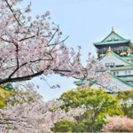 sakura jepang, travel agencies in japan, places to visit in japan