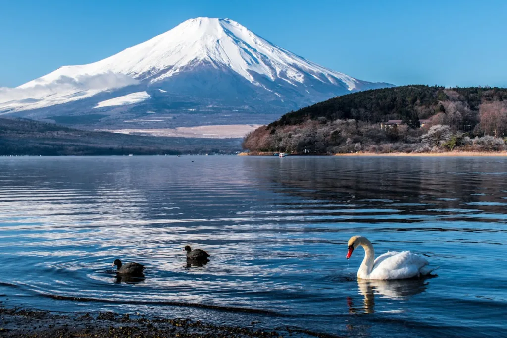 winter jepang gunung fuji