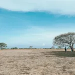 taman nasional baluran (2)