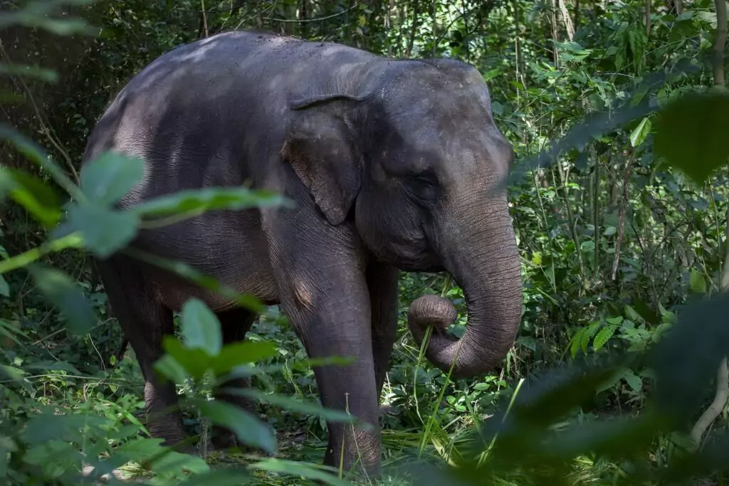 Solo Safari, liburan di solo