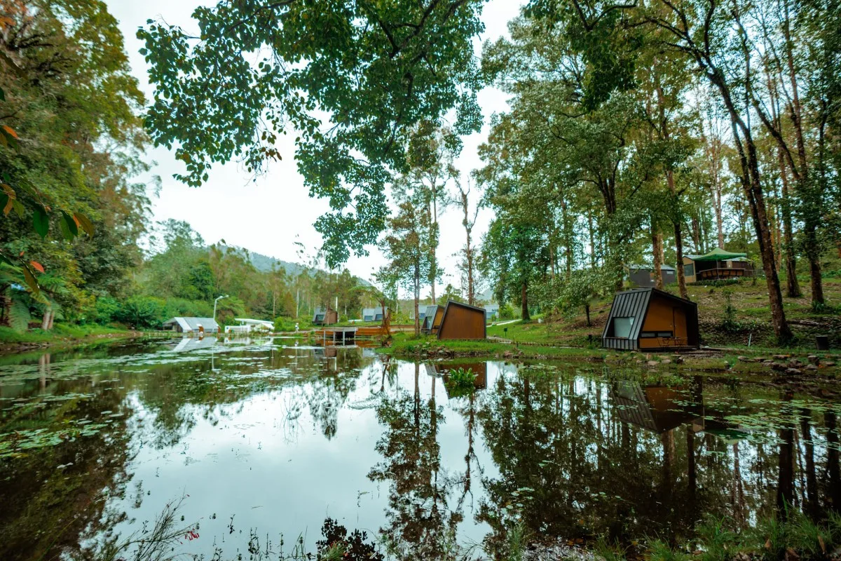 Bobocabin Ranca Upas 