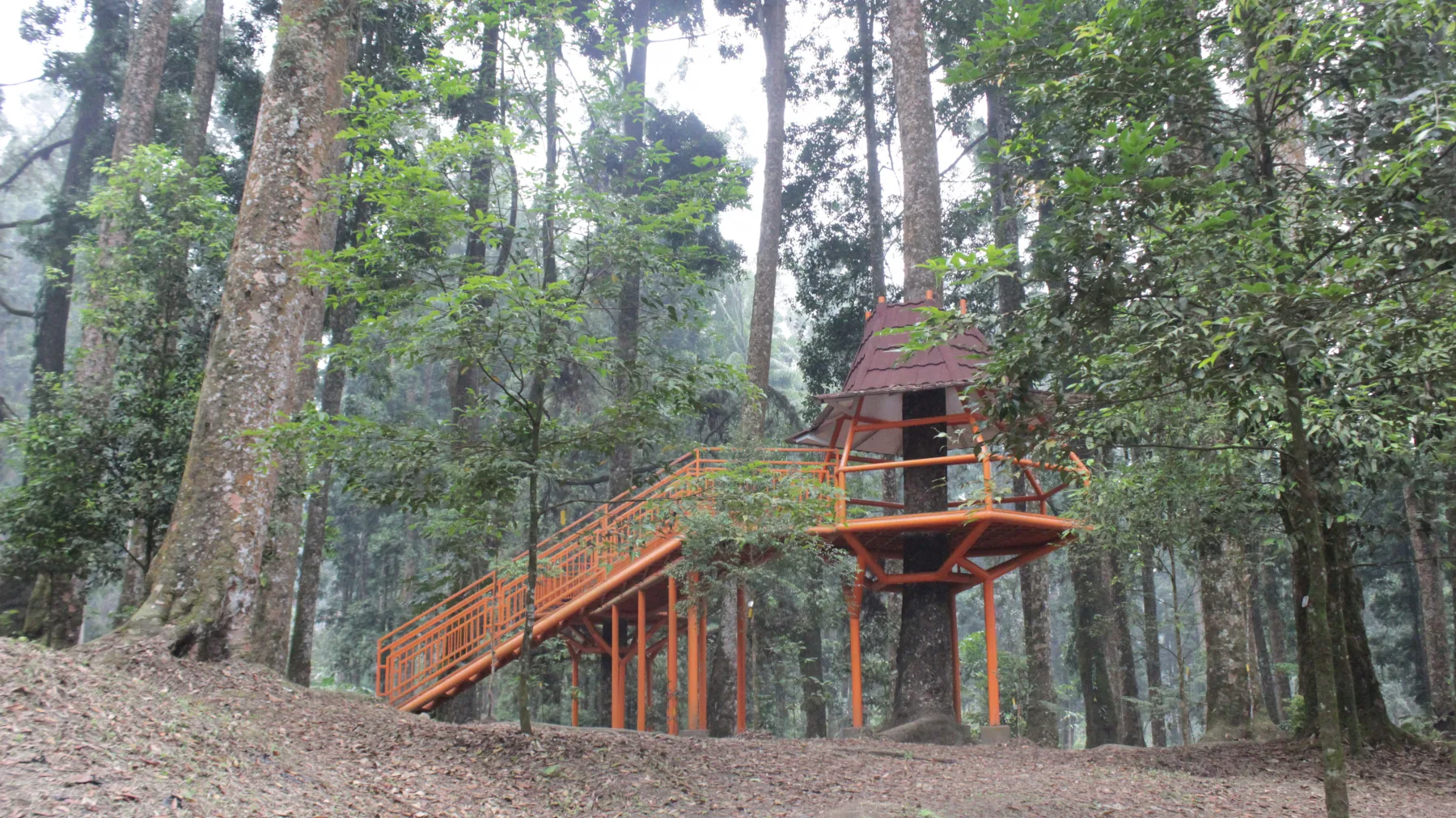 Kebun Raya Baturraden