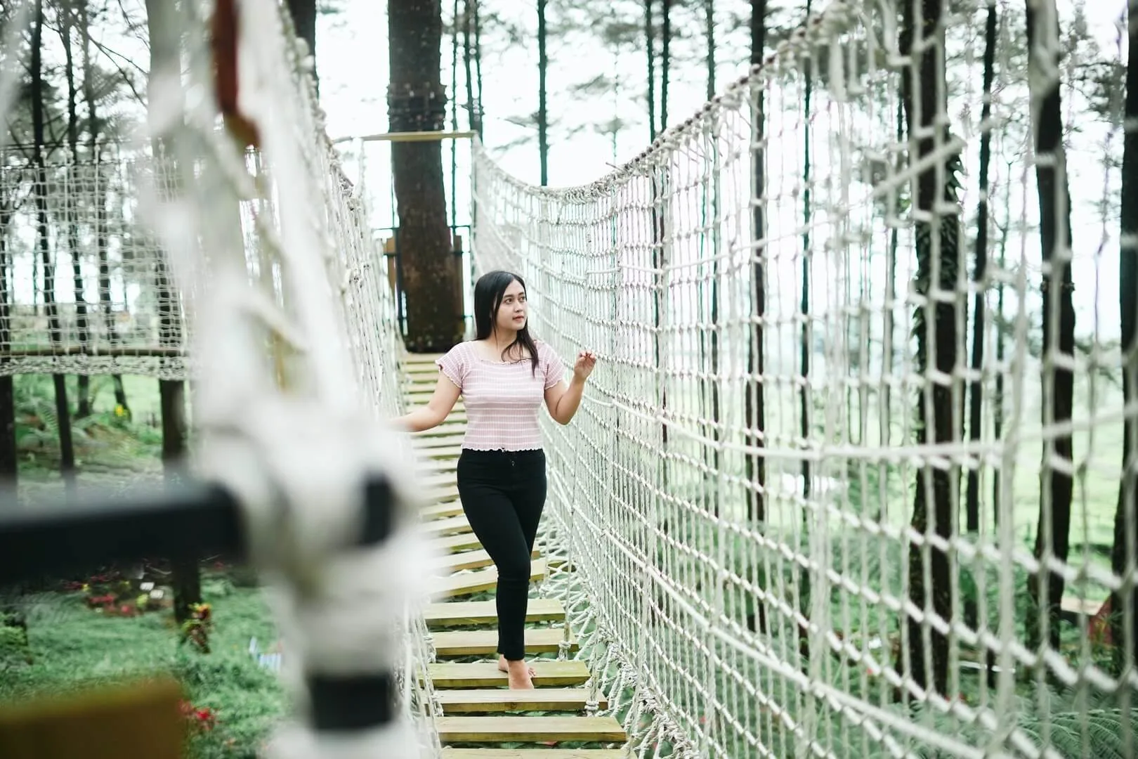 Hutan Pinus Limpakuwus