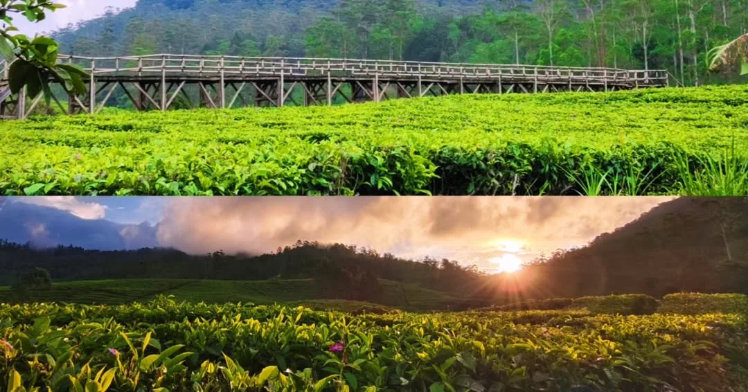 jembatan nuansa riung gunung