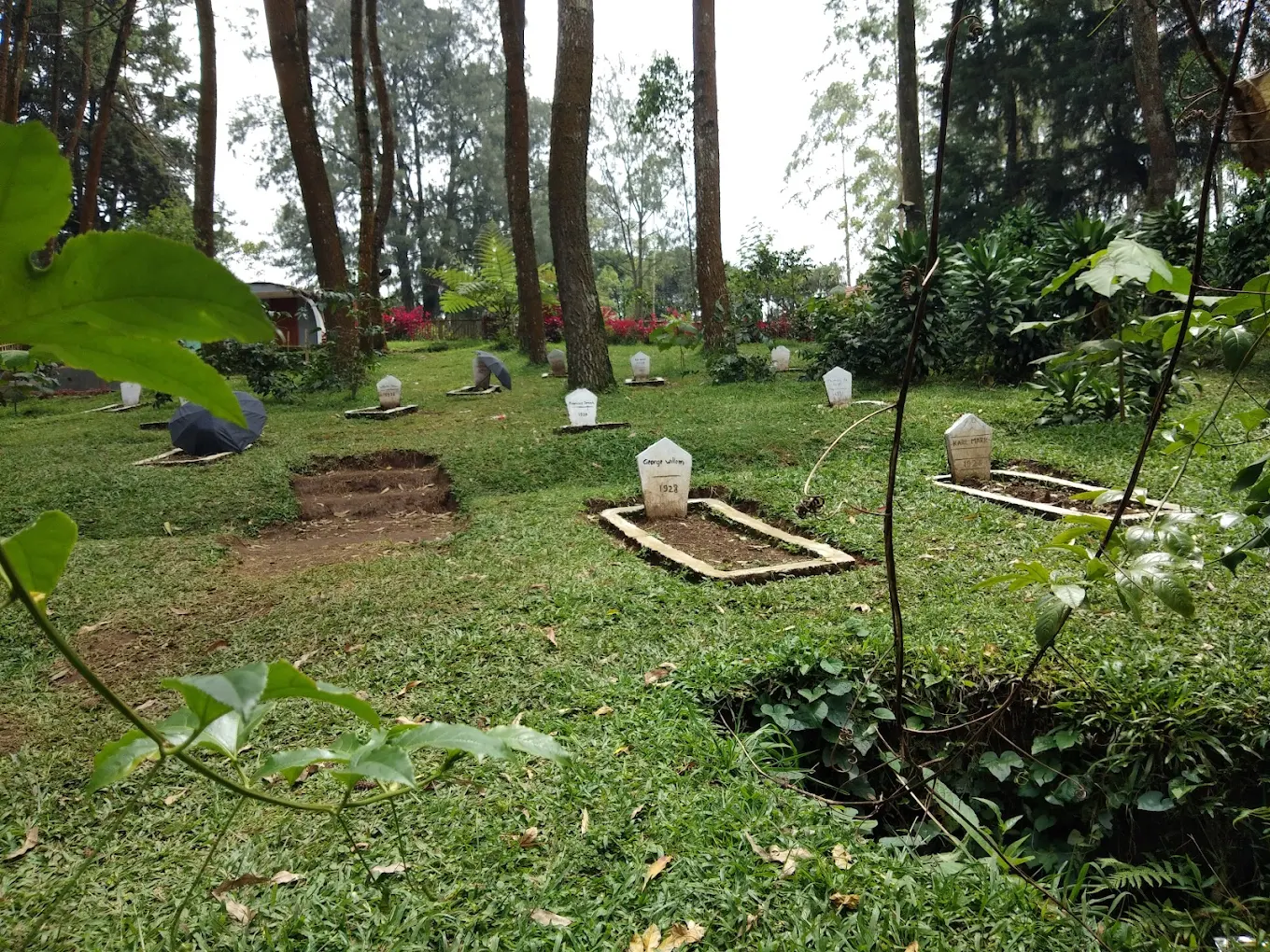 rumah pengabdi setan.webp3