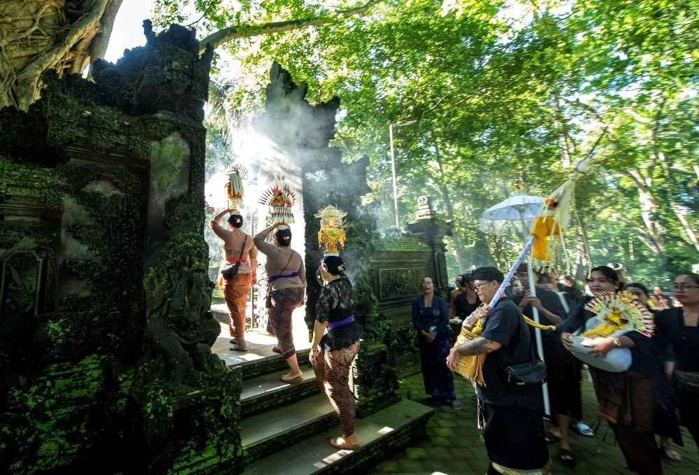 ubud monkey forest 2