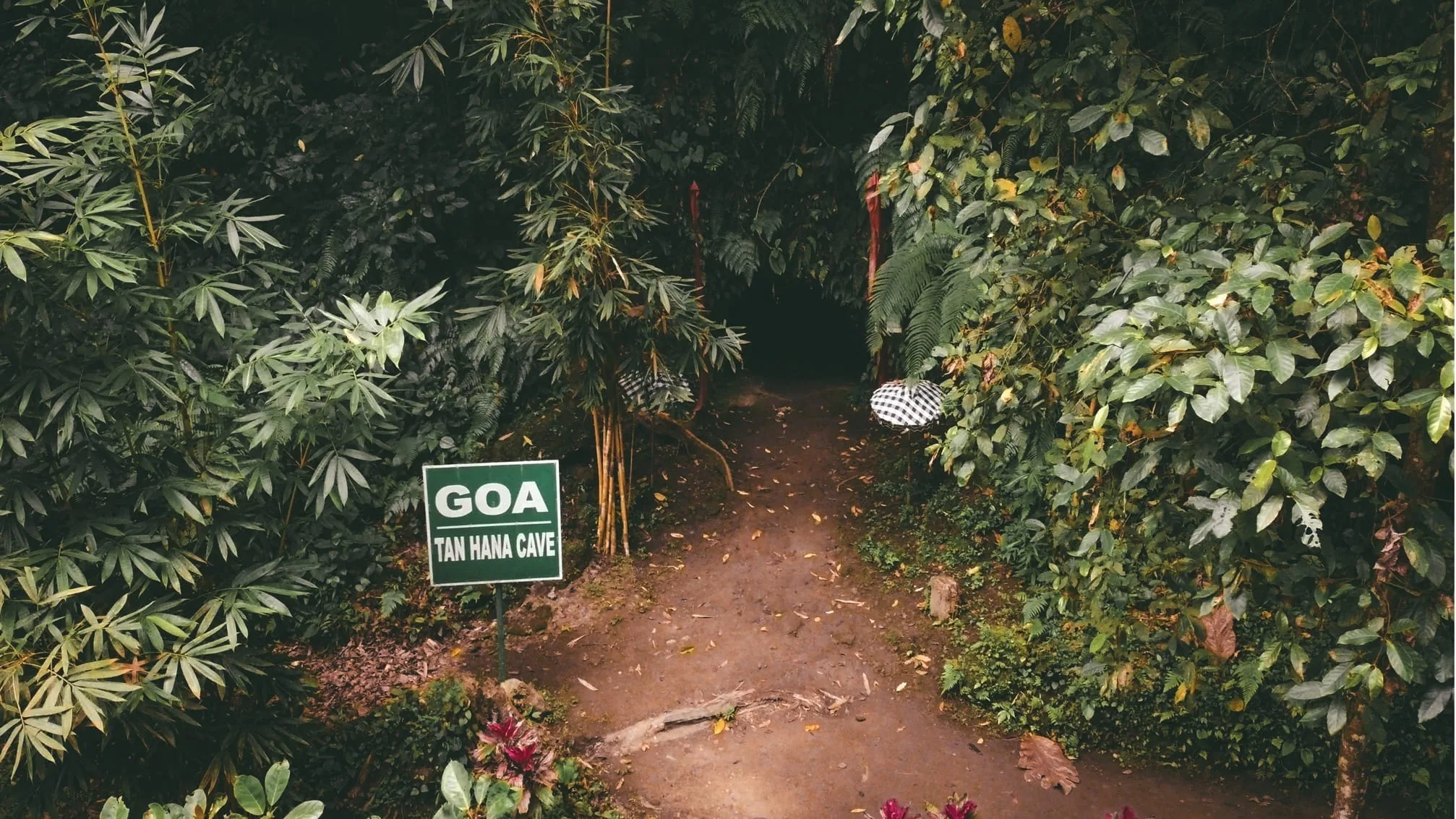 goa-tan-hana