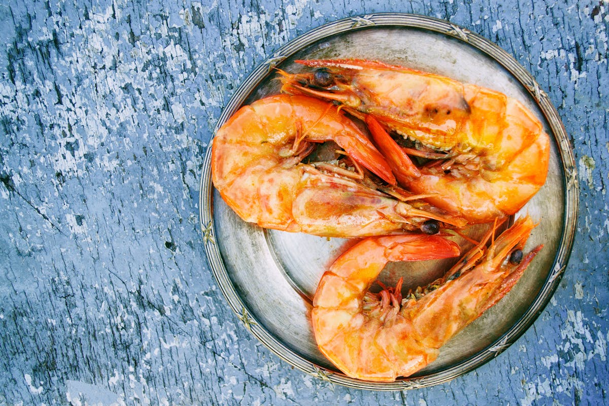 udang