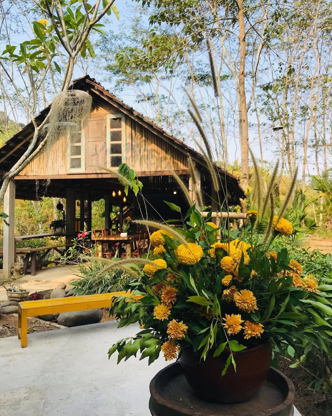 Latar Belakang Warung Lembah