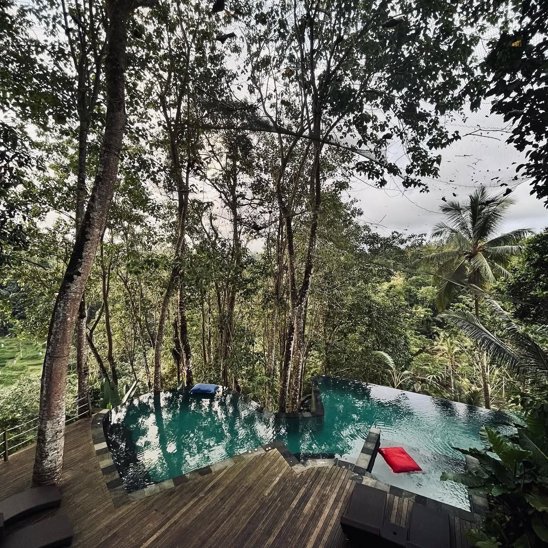 d'Alas by the pool, kolam renang di ubud