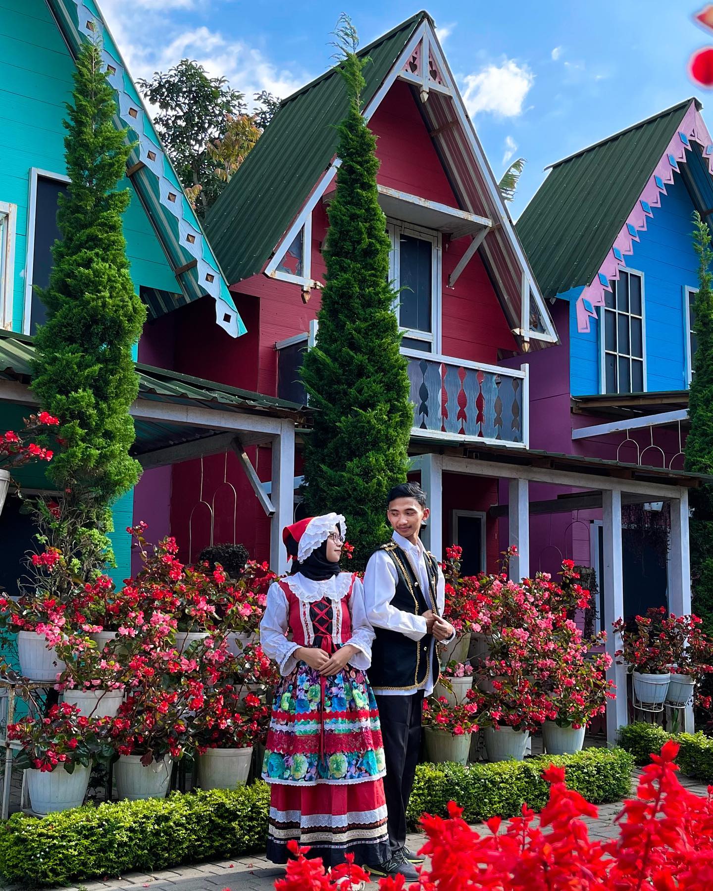 taman bunga celosia (3)