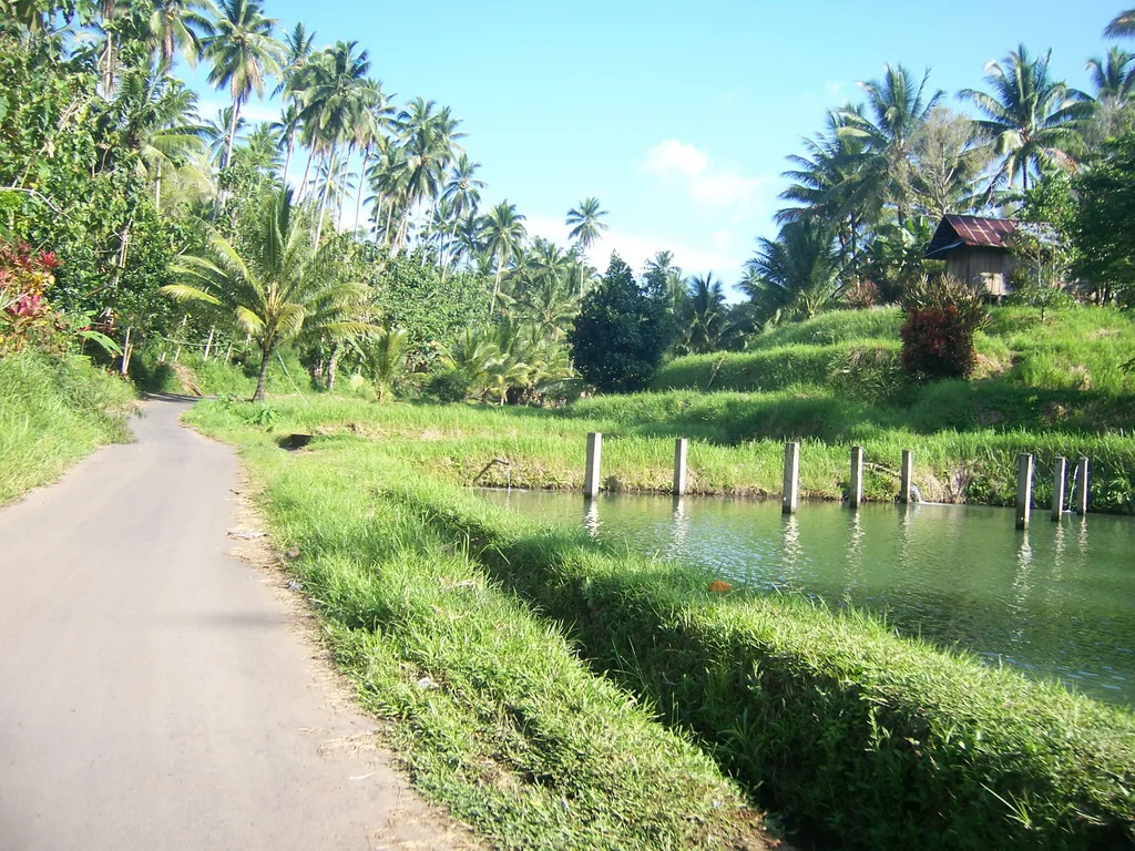 Desa_Sampiri_Airmadidi