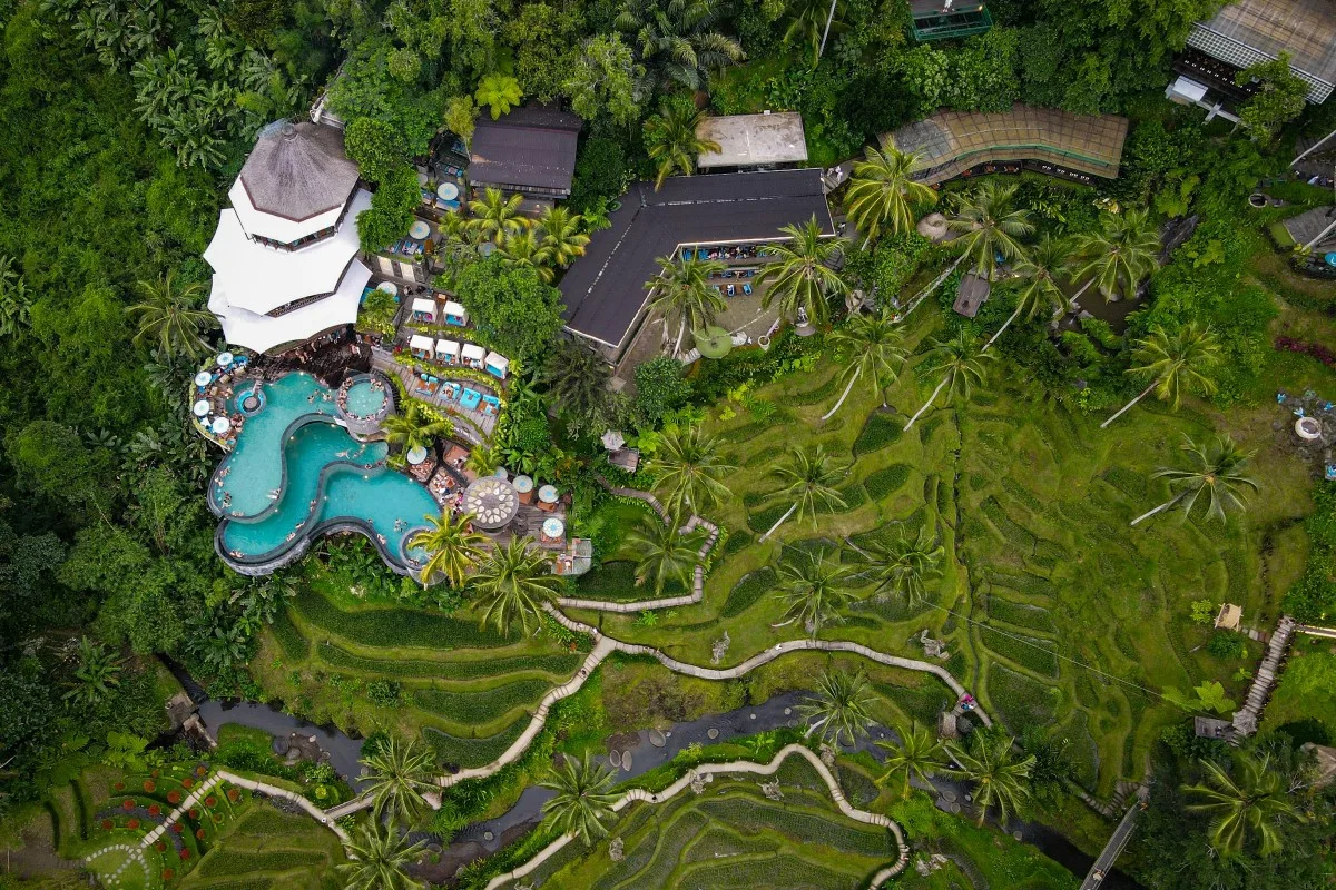 alas harum bali, ceking rice terrace