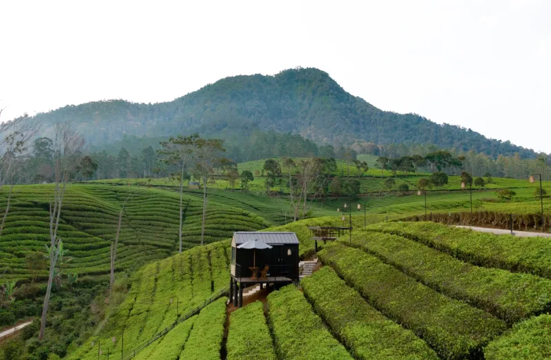 Bobocabin Pangalengan view