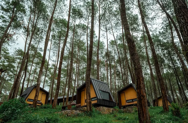 Bobocabin Cikole Lembang