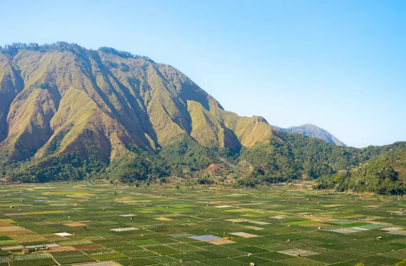 Bukit Selong Rinjani