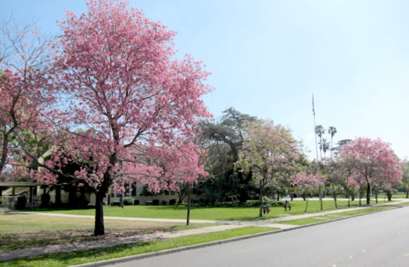 Cantik dan Nyaman, 12 Taman Kota di Jakarta Pusat yang Cocok untuk Ngabuburit