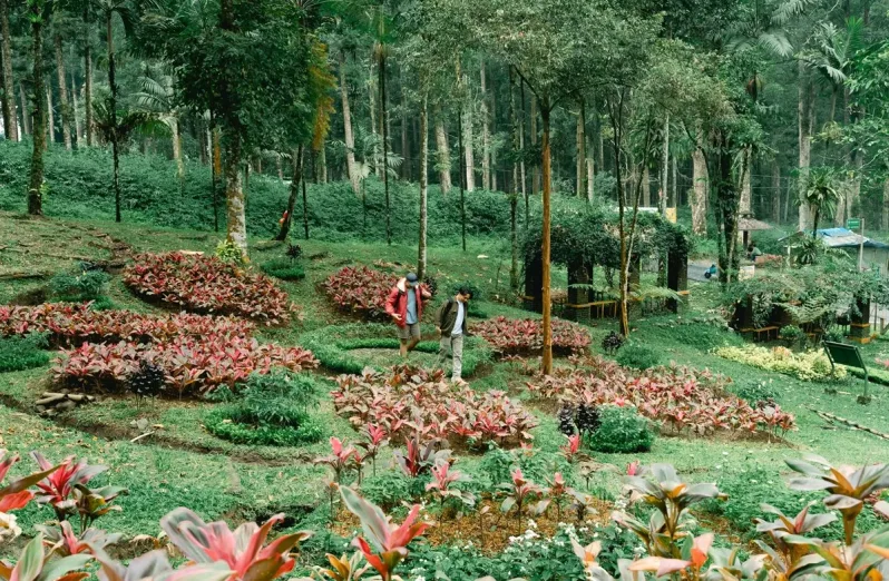 Kebun Raya Baturraden atau Baturraden Botanical Garden Kebun Raya Terindah di Dunia