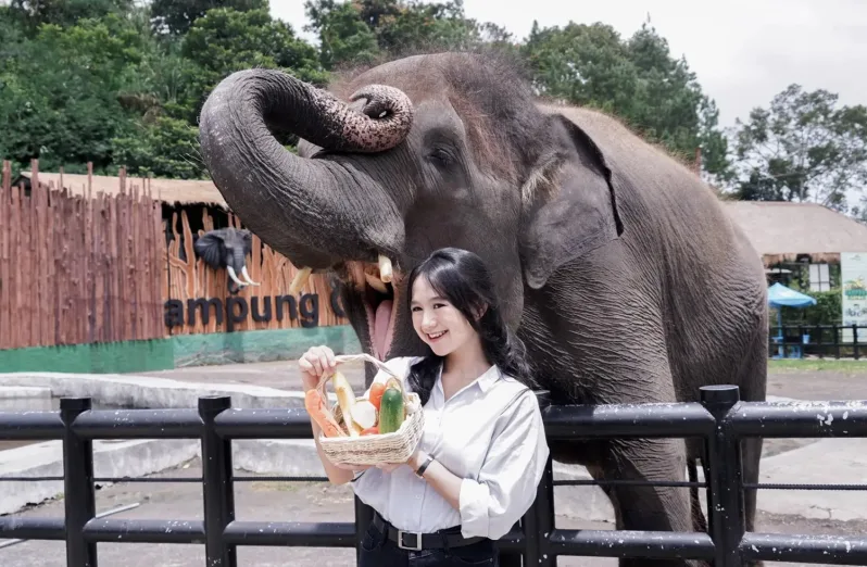 Lembang Park & Zoo