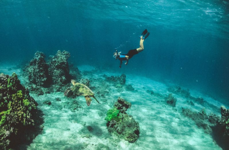 Mengenal Perbedaan Snorkeling dan Diving