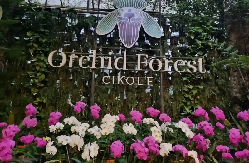 Orchid Forest Cikole