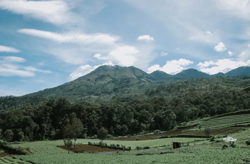 kegiatan seru di batu malang