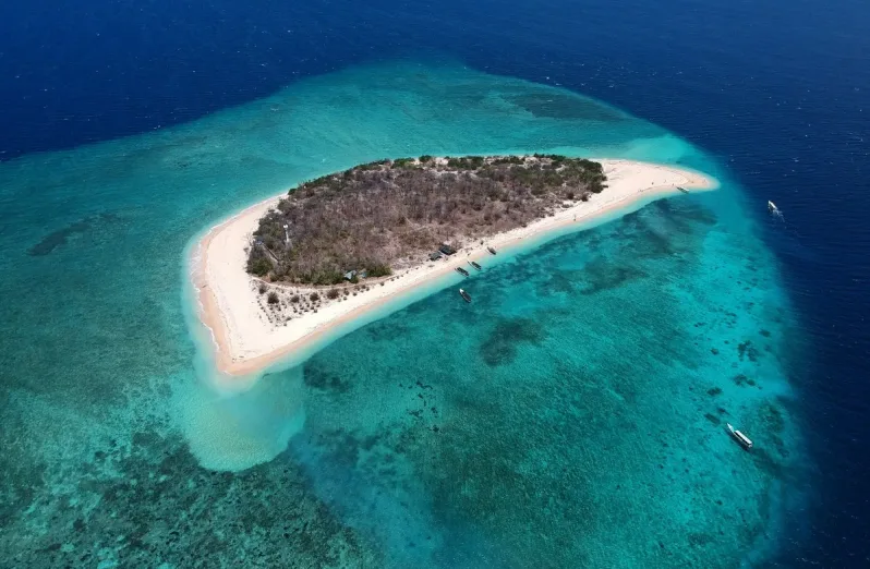 Photo: Rewardy Fahmi via Unsplash