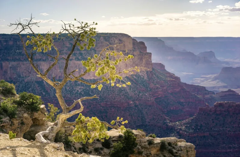 12 tempat wisata menakjubkan arizona