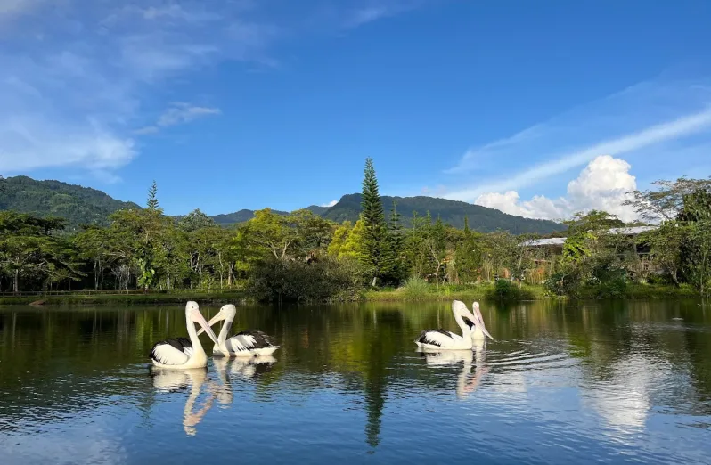 enchanting valley by taman safari