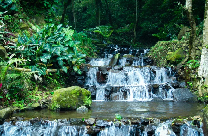 Tempat Wisata Mojokerto