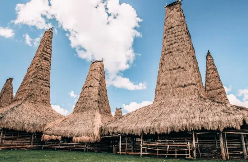 filosofi luhur di balik rumah adat sumba