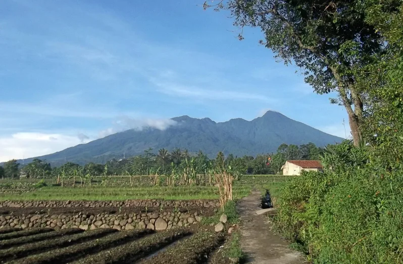 glamping gunung salak