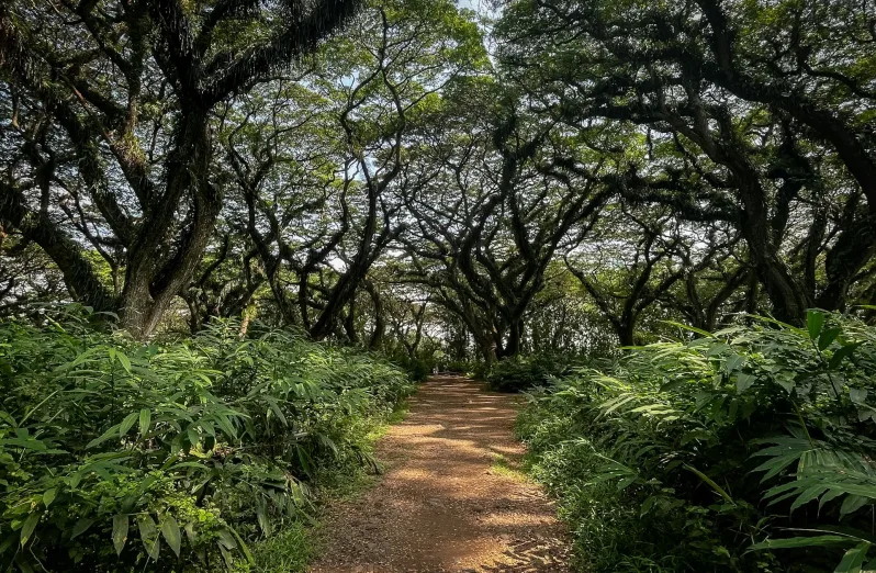 7 tempat wisata hits di banyuwangi