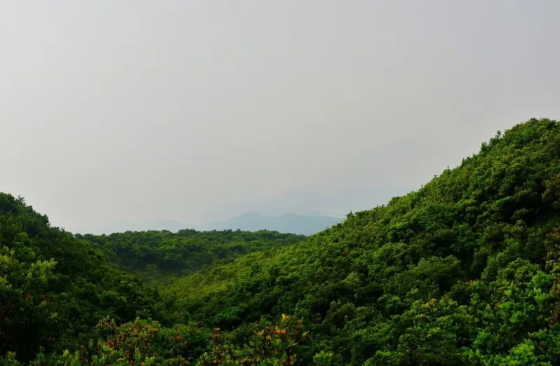 gunung tangkuban perahu (2)