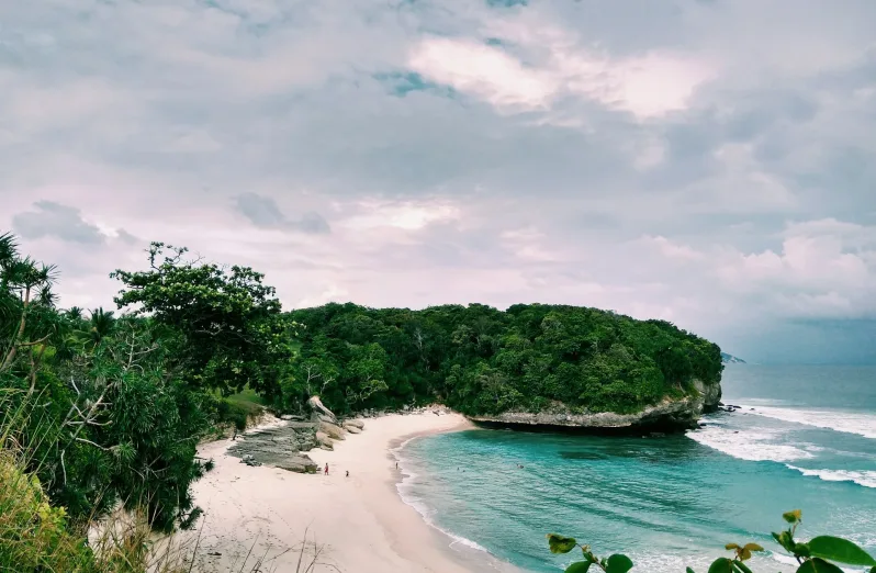 oleh-oleh khas sumba