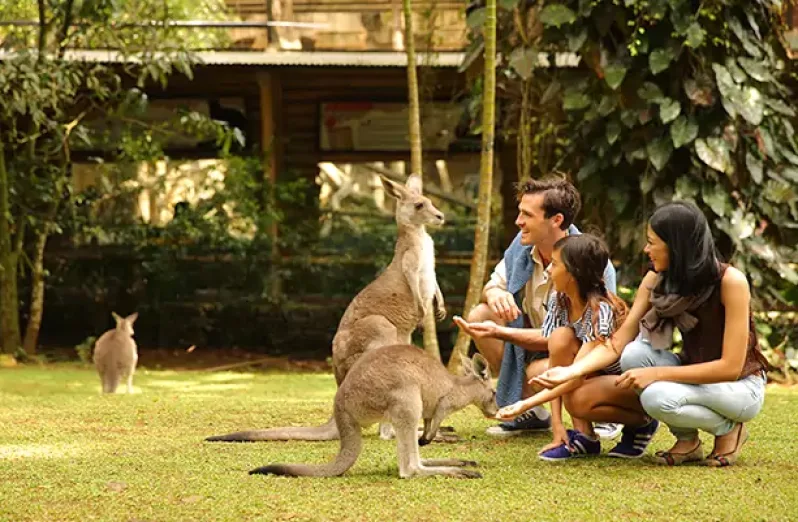 kebun binatang indonesia