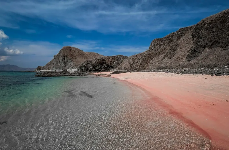 mari ke tempat pantai pink di lombok