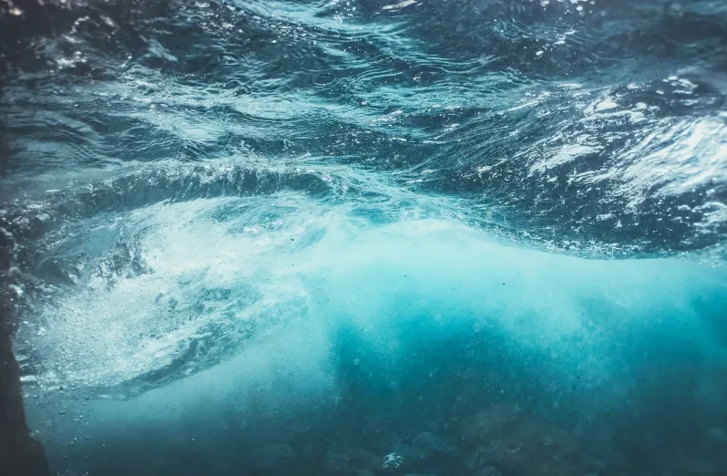 palung laut terdalam di bumi