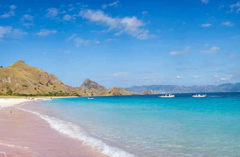 pantai pink komodo