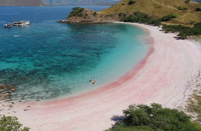 pantai-pink-lombok