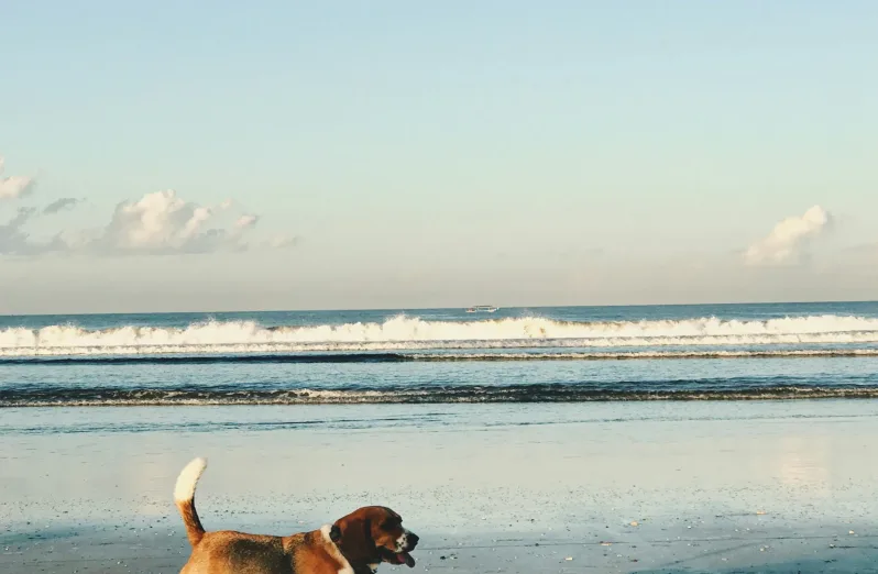 pantai seminyak